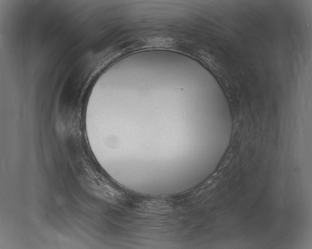 X0000081290146200701111407