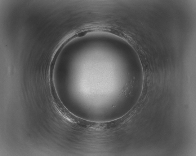 X0000081290148200701111407