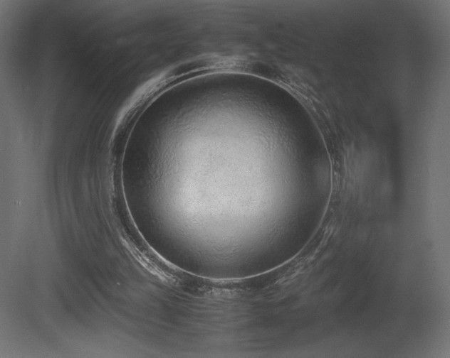 X0000081290149200701111407