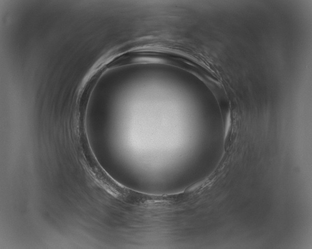 X0000081290150200701111407