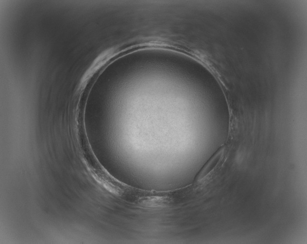 X0000081290151200701111407