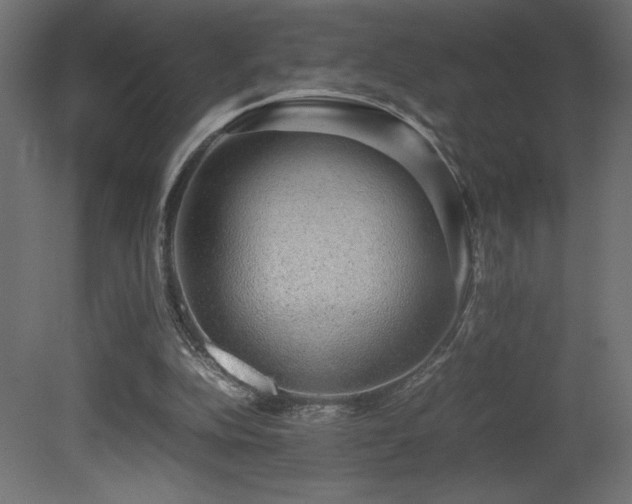 X0000081290152200701111407