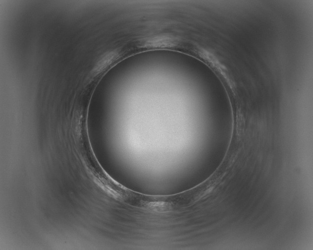 X0000081290153200701111407