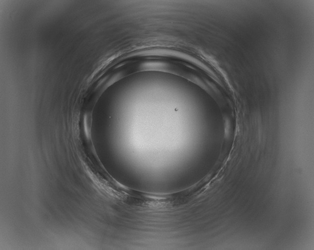 X0000081290154200701111407