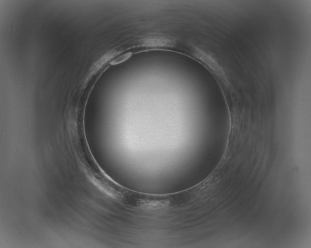 X0000081290155200701111407