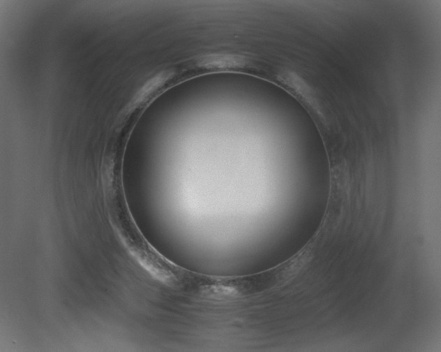 X0000081290159200701111408
