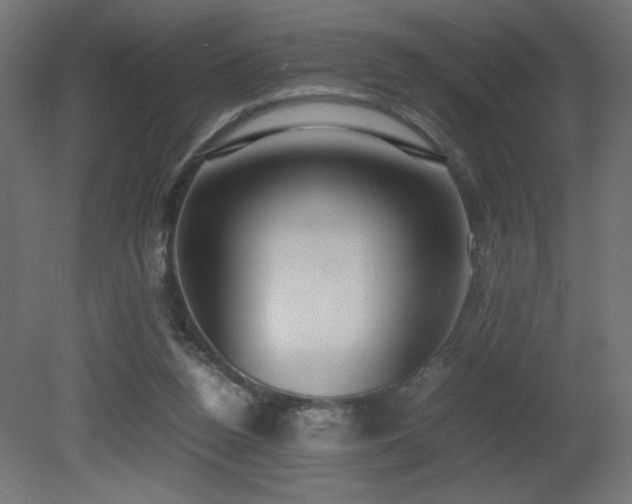 X0000081290160200701111408