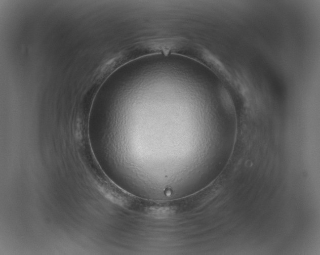 X0000081290161200701111408