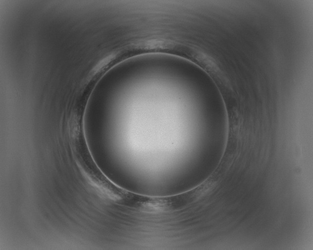 X0000081290164200701111408