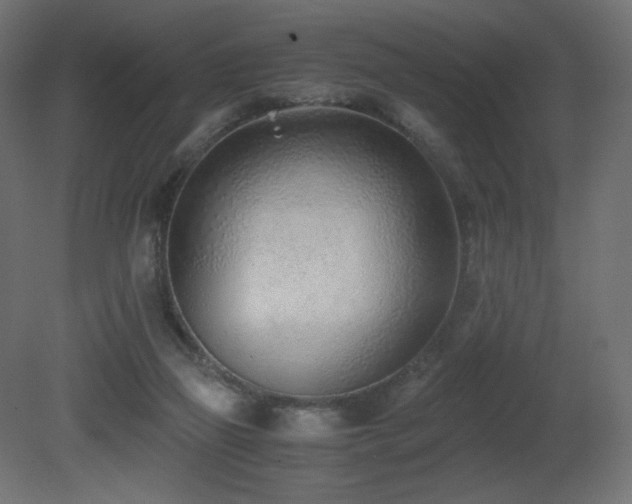 X0000081290165200701111408