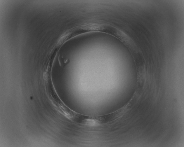 X0000081290167200701111408