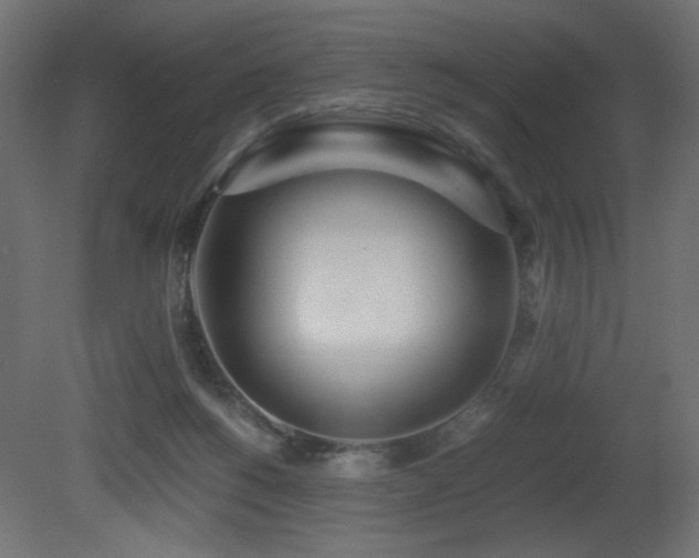 X0000081290168200701111408