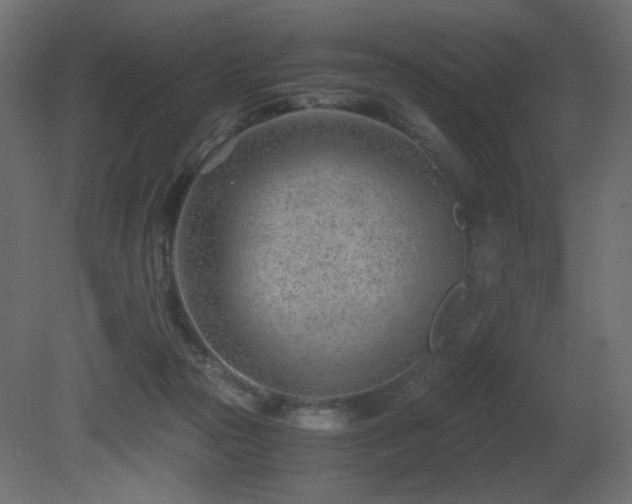 X0000081290169200701111408