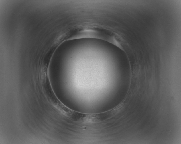 X0000081290172200701111408