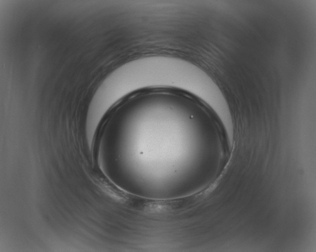 X0000081290174200701111408