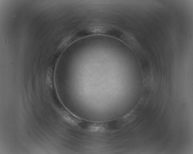 X0000081290175200701111408