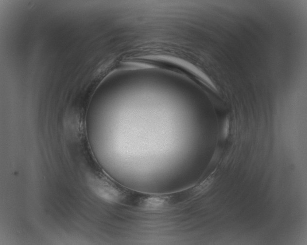X0000081290176200701111408