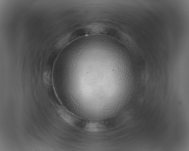 X0000081290177200701111408