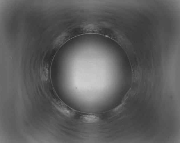 X0000081290183200701111408