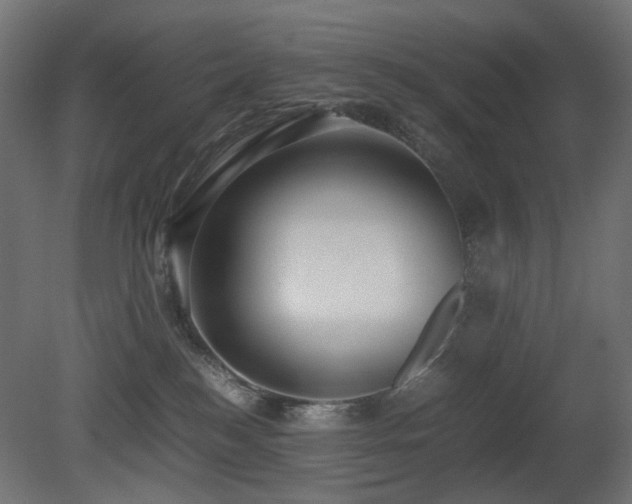 X0000081290184200701111408