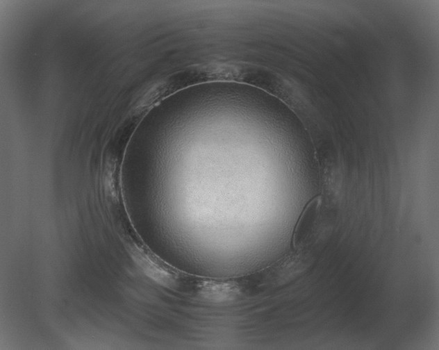 X0000081290185200701111408