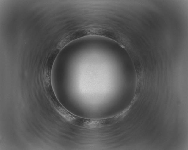 X0000081290186200701111408