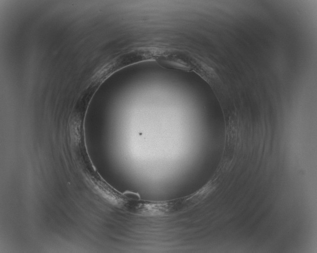 X0000081290188200701111408