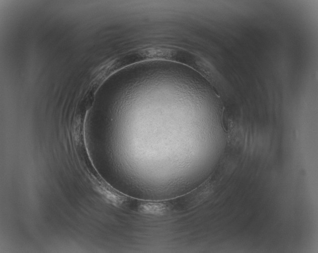 X0000081290189200701111408