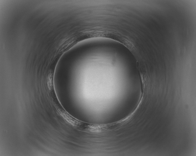 X0000081290190200701111408