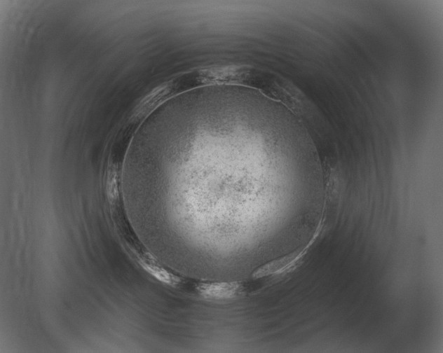 X0000081290191200701111408