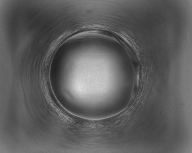 X0000081290193200701111407