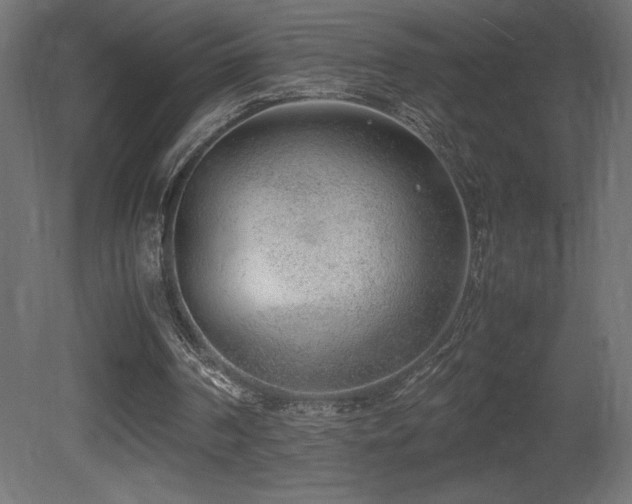 X0000081290194200701111407