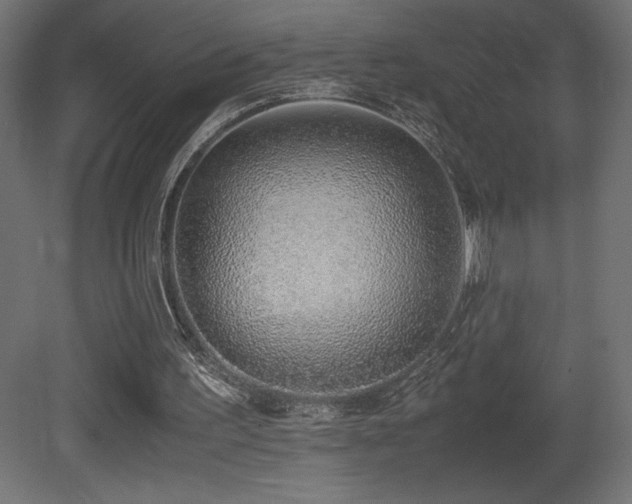 X0000081290195200701111407