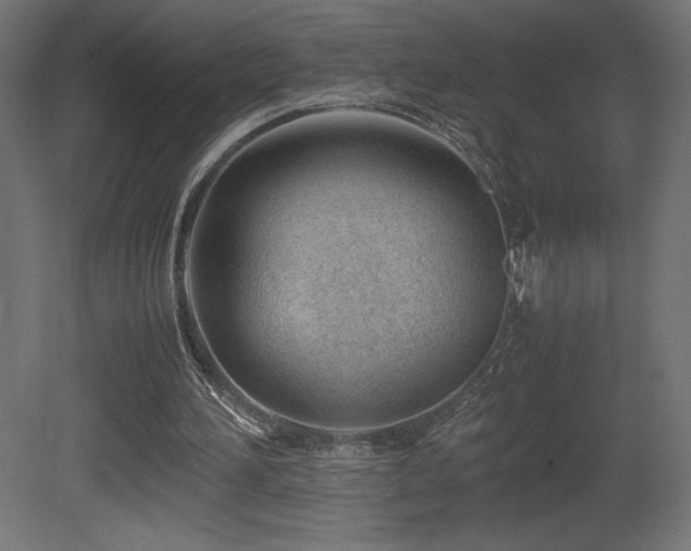 X0000081290196200701111407