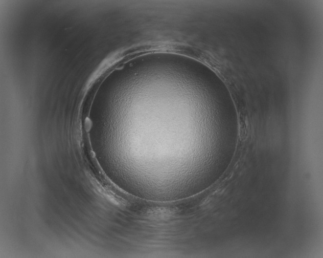 X0000081290198200701111407
