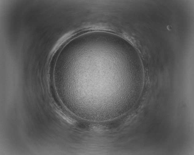 X0000081290199200701111407