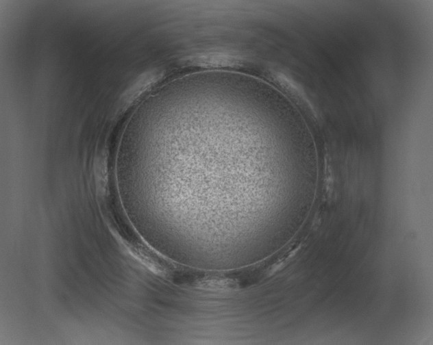 X0000081290202200701111407