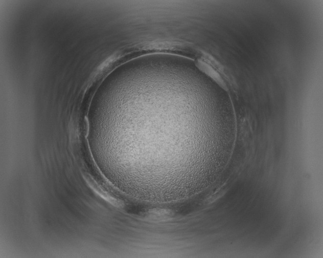 X0000081290203200701111407
