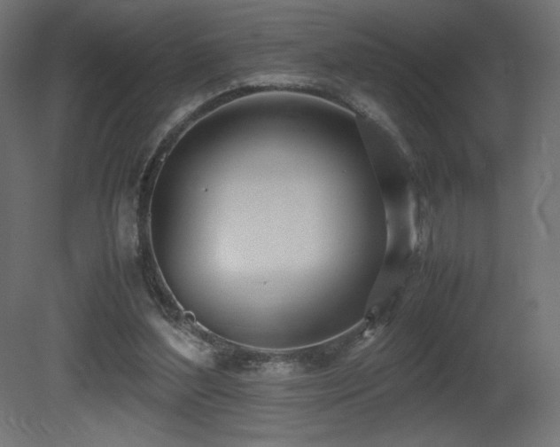 X0000081290204200701111407