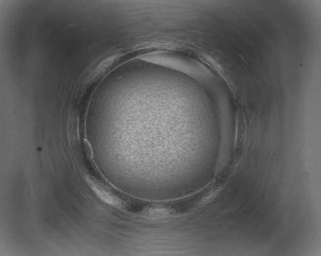 X0000081290205200701111407