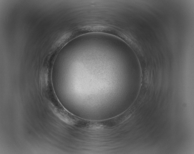 X0000081290206200701111407