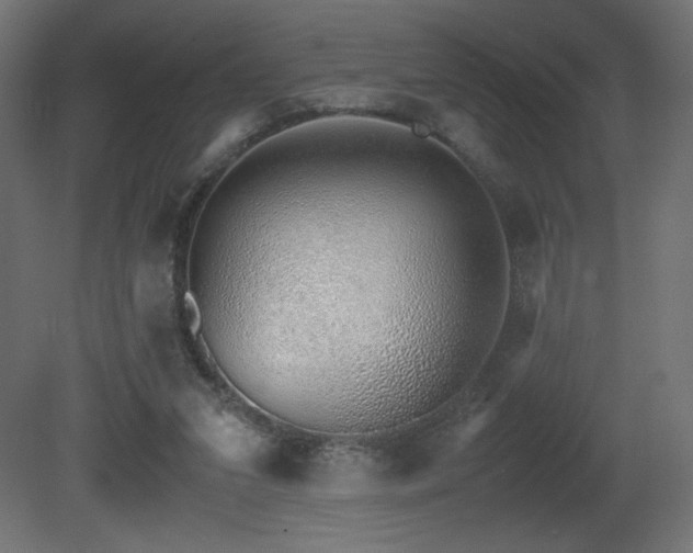 X0000081290207200701111407