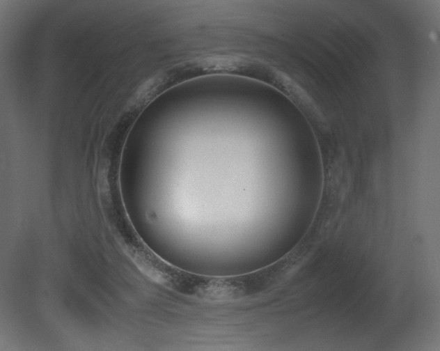 X0000081290209200701111407