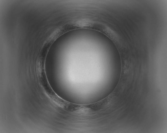 X0000081290210200701111407