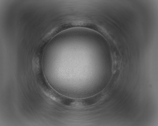 X0000081290211200701111407