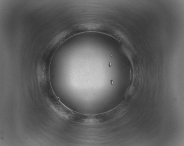X0000081290212200701111407