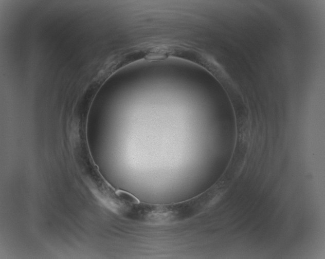 X0000081290213200701111407