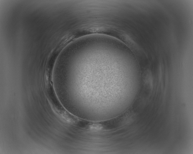 X0000081290214200701111407
