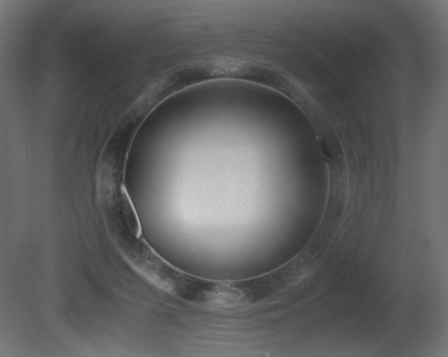 X0000081290215200701111407