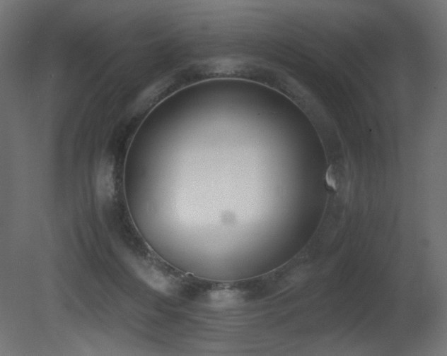X0000081290216200701111407